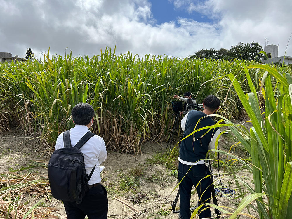 Music video shooting site