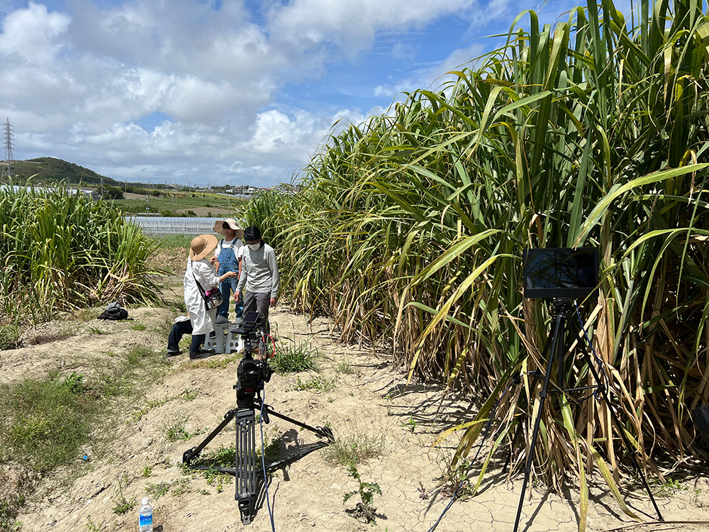 Music video shooting site