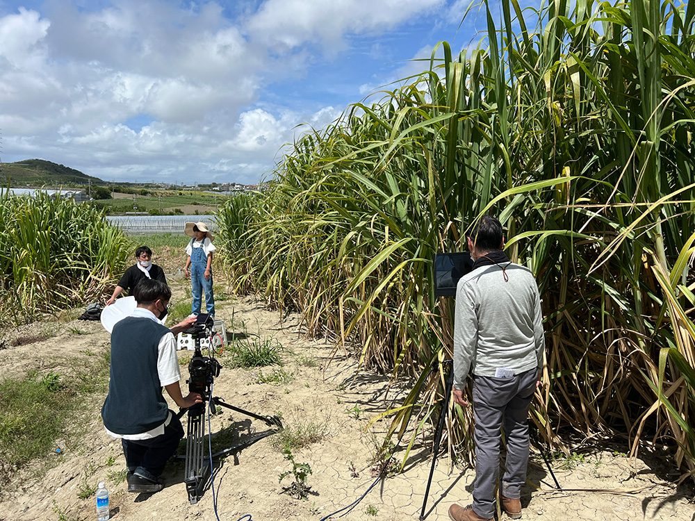 Music video shooting site
